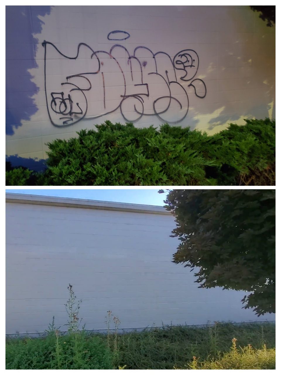 20210828_202819-COLLAGE