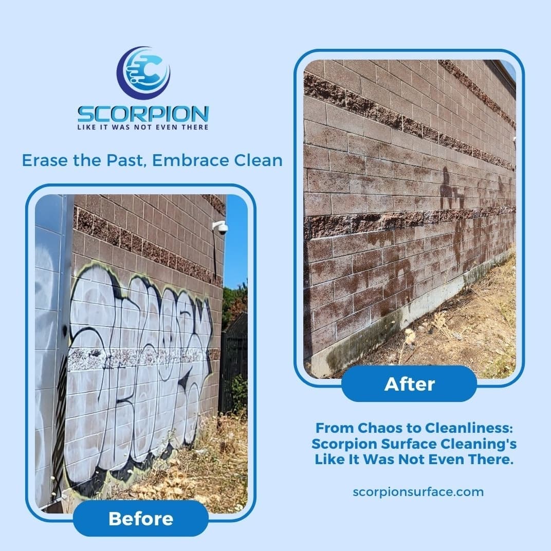 IMG_20231219_065224_778